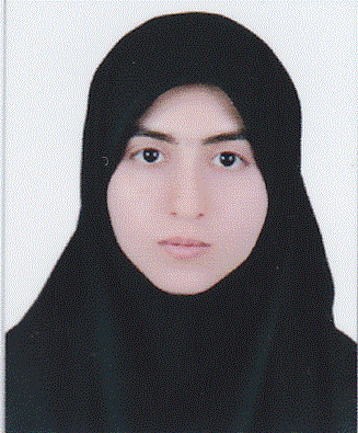 Maryam Hashempour Sadeghian